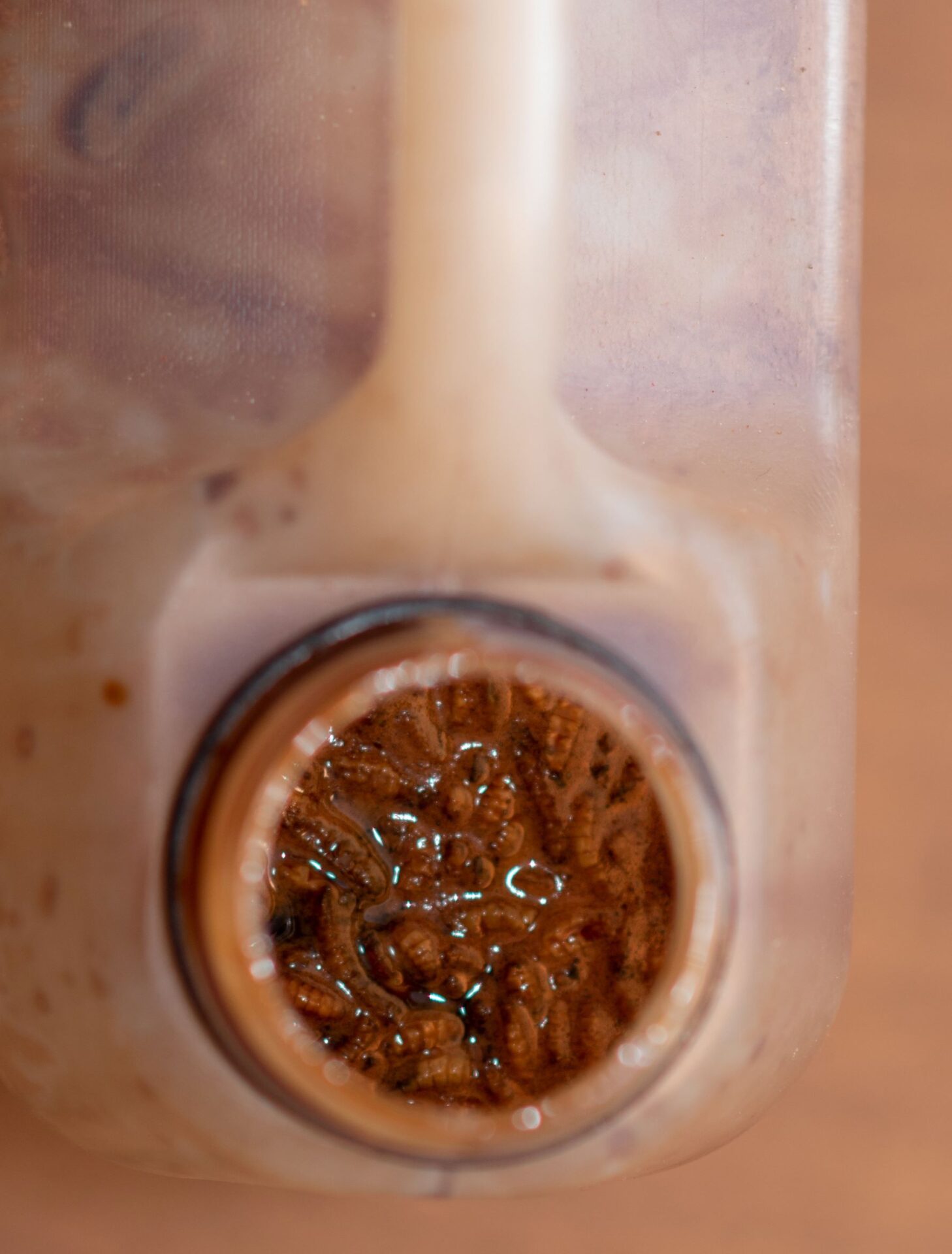 King spice Liquid Food Challenge – Image 3