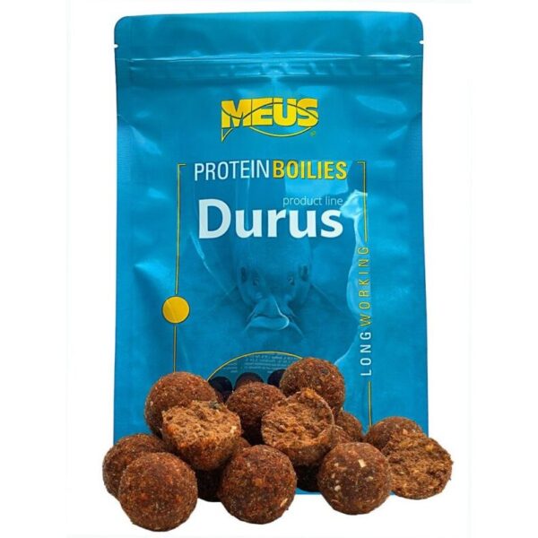 appât carpe squid calamar