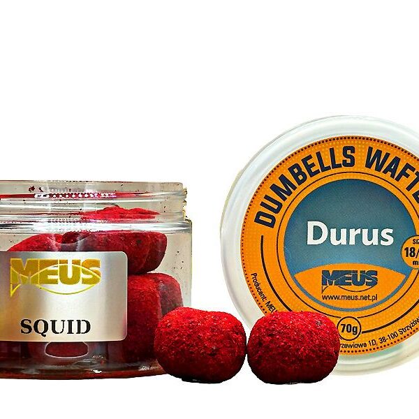 grosses carpes et silures