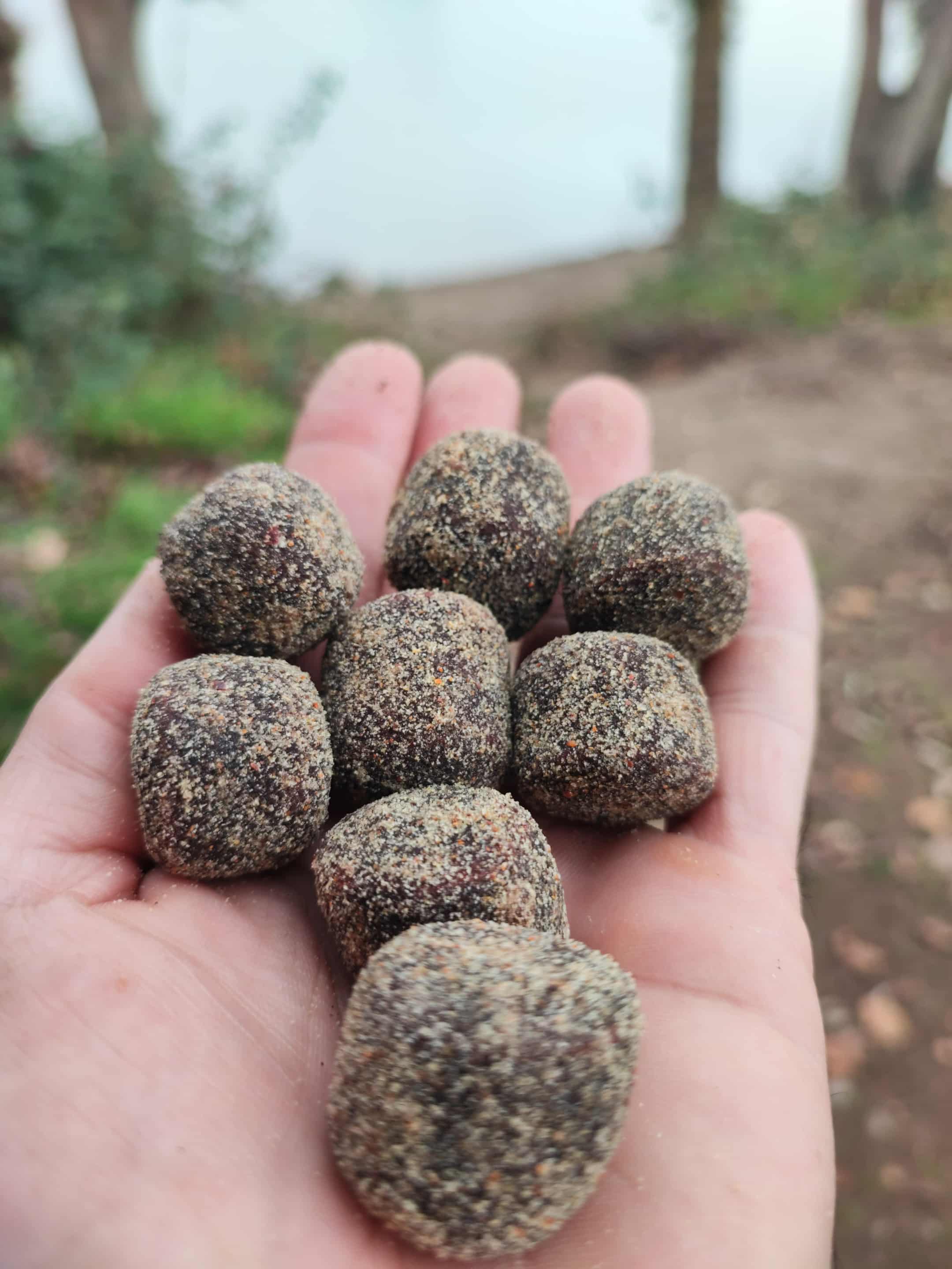 enrobé et attractif pellet peche carpe